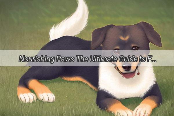 Nourishing Paws The Ultimate Guide to Feeding Your Pooch PostVomit and Shots